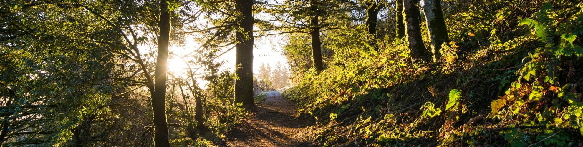 Run 4 Conservation